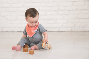 Baby Bandana Bibs - Bison