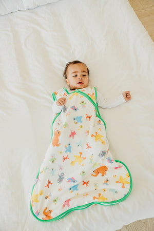 Sleep Bag - Sesame Friends
