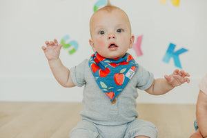 Baby Bandana Bibs - Teacher