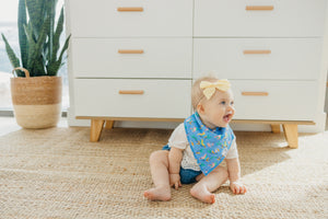 Baby Bandana Bibs - Birdie