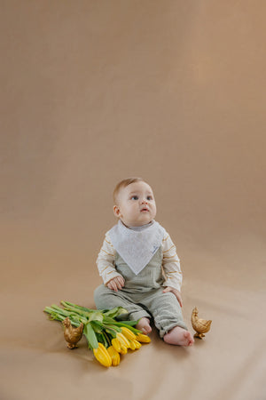 Baby Bandana Bibs - Peter