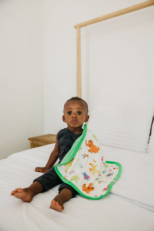 Three-Layer Security Blanket Set - Sesame Friends
