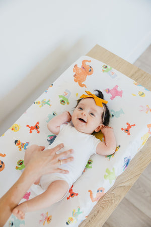 Premium Knit Diaper Changing Pad Cover - Sesame Friends