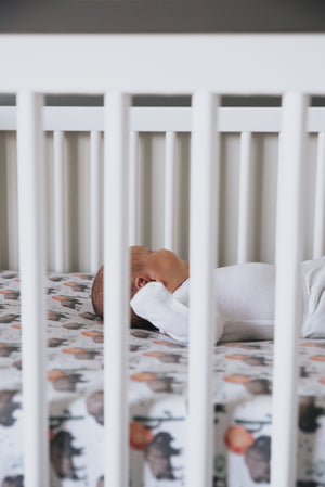 Premium Knit Fitted Crib Sheet - Bison