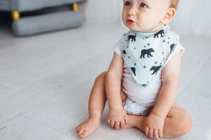 Baby Boy Bib Bundle - Copper Pearl - 2